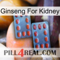 Ginseng For Kidney 05